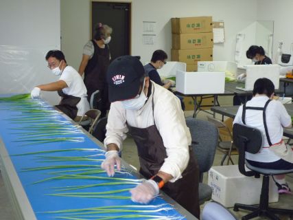 農福連携の作業